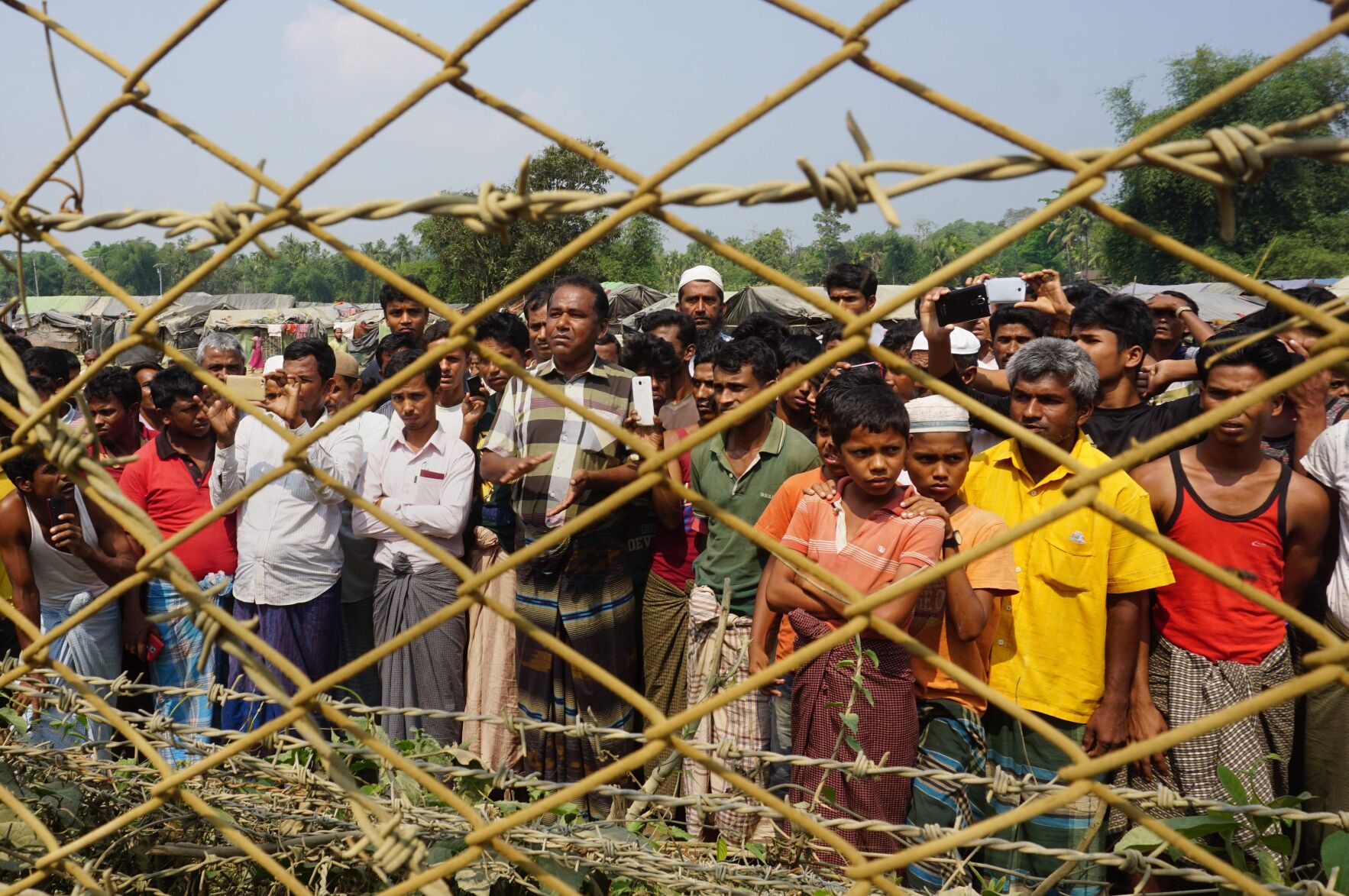 Barbed wire.JPG